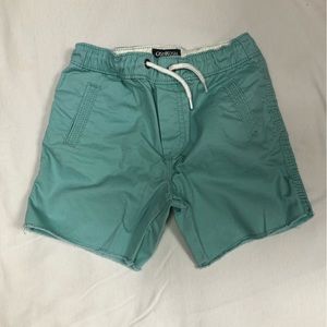 Toddler Boy Teal Shorts